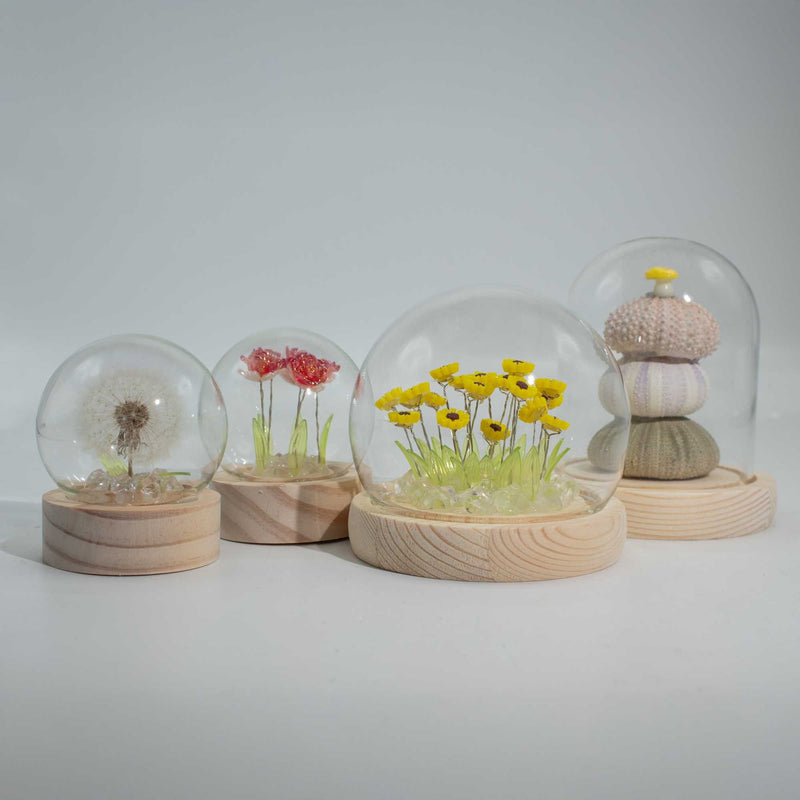 Floral Glow Garden Dome - 10 Pink Roses - LED USB product image