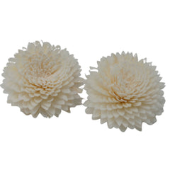 Natural Diffuser Flowers - Lrg Carnation on String product image 3