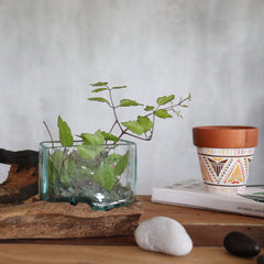 Molten Glass Tank on Wood with Stand - Medium Bowl product image
