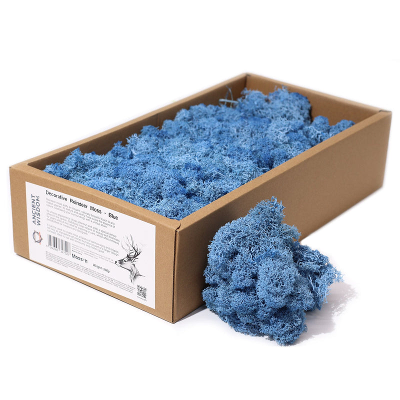 Decoration Reindeer Moss - Blue - (approx 500gm) product image