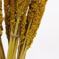 Cantal Grass Bunch - Amber product image