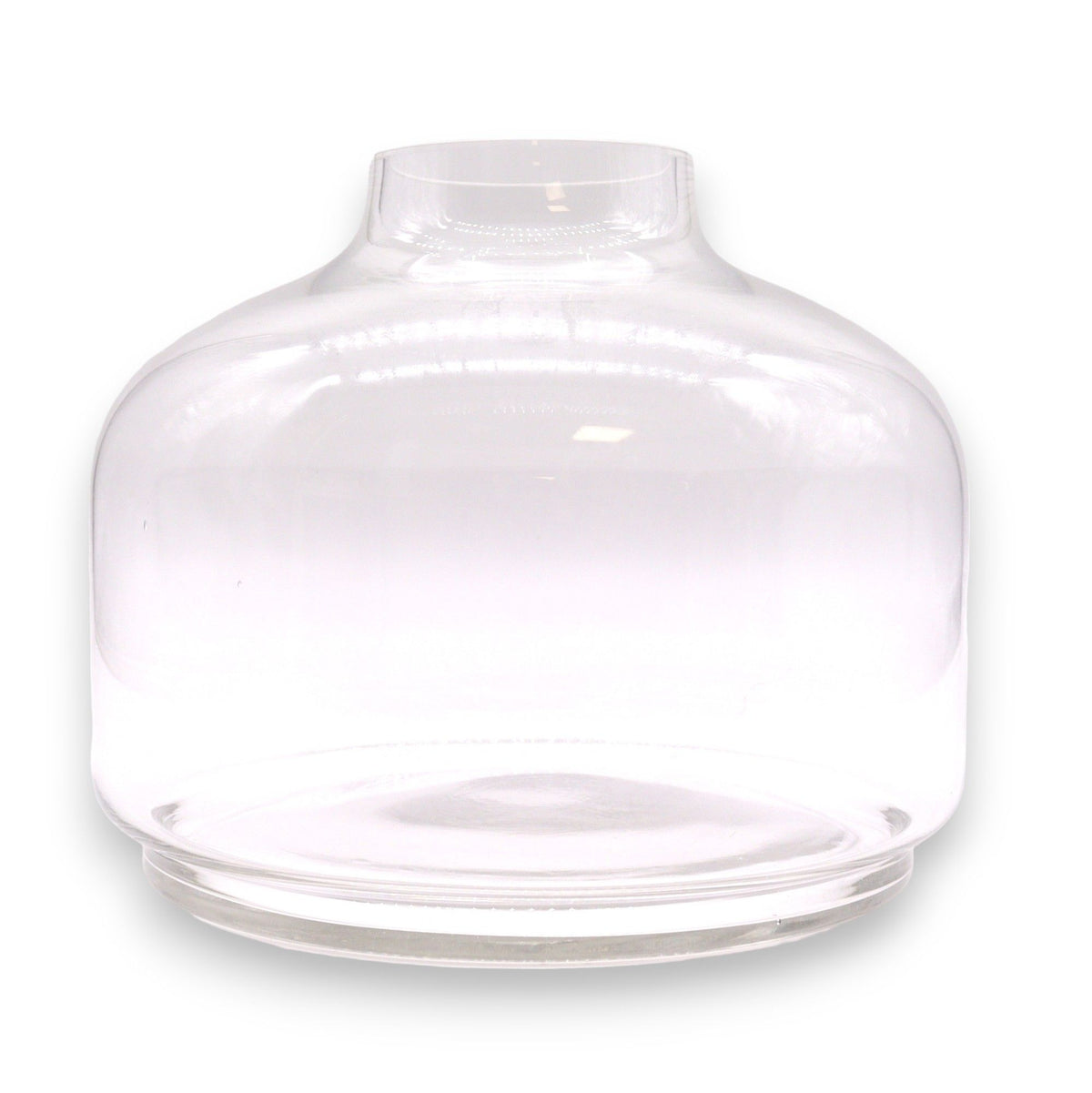 Ex-Large Ball Top Terrarium on Dark Tung Wood product image 2