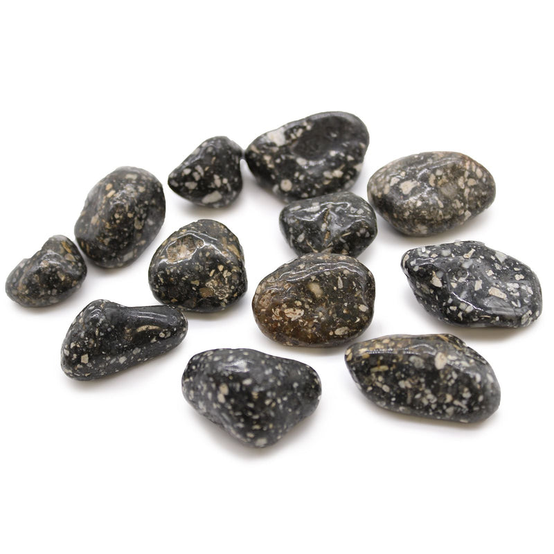 Medium African Tumble Stones - Guinea Fowl Medium product image