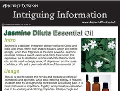 Jasmine Dilute Essential Oil Info product image