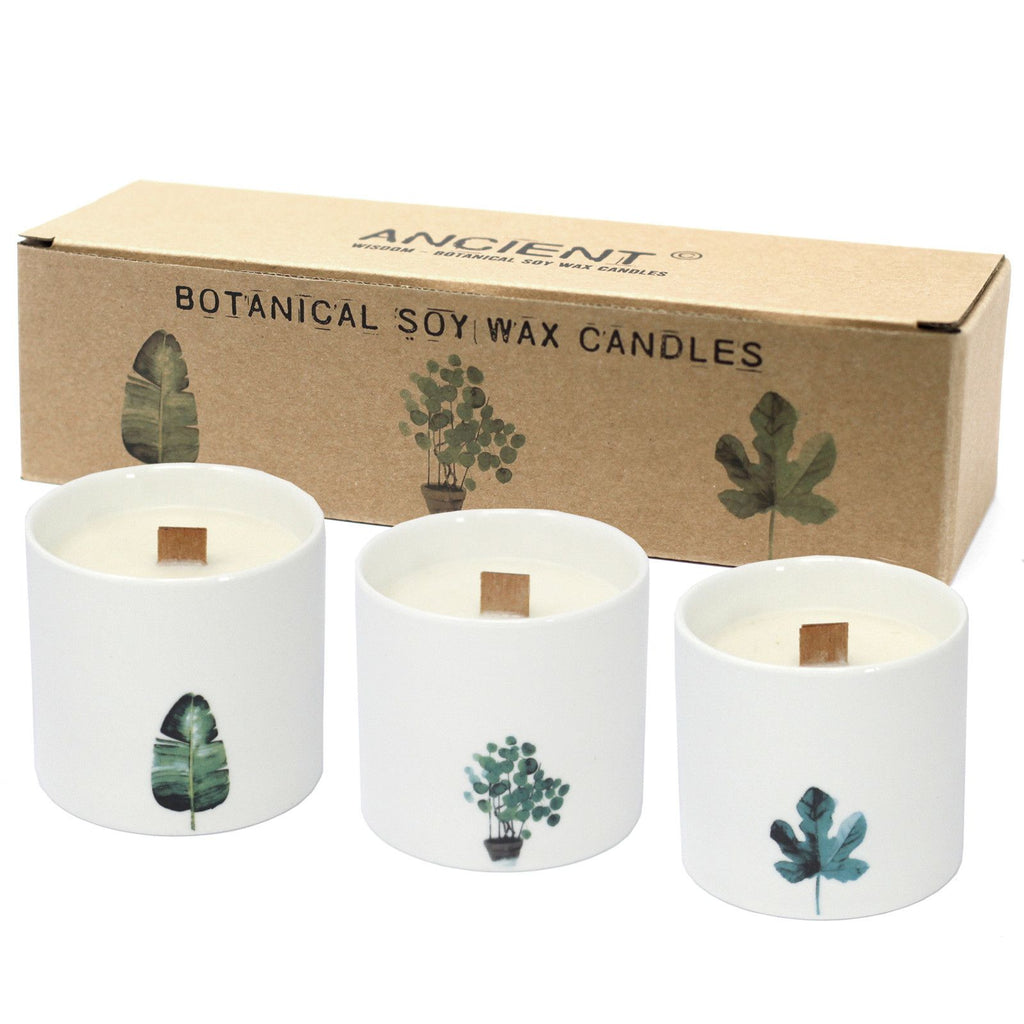 Large Botanical Candles - Victorian Peony product image 3