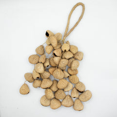 Large Pangi Seed Shell - Natural Nut Shaker (50 Shells) product image 3