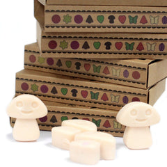 Box of 6 Wax Melts - Vanilla Nutmeg product image 3