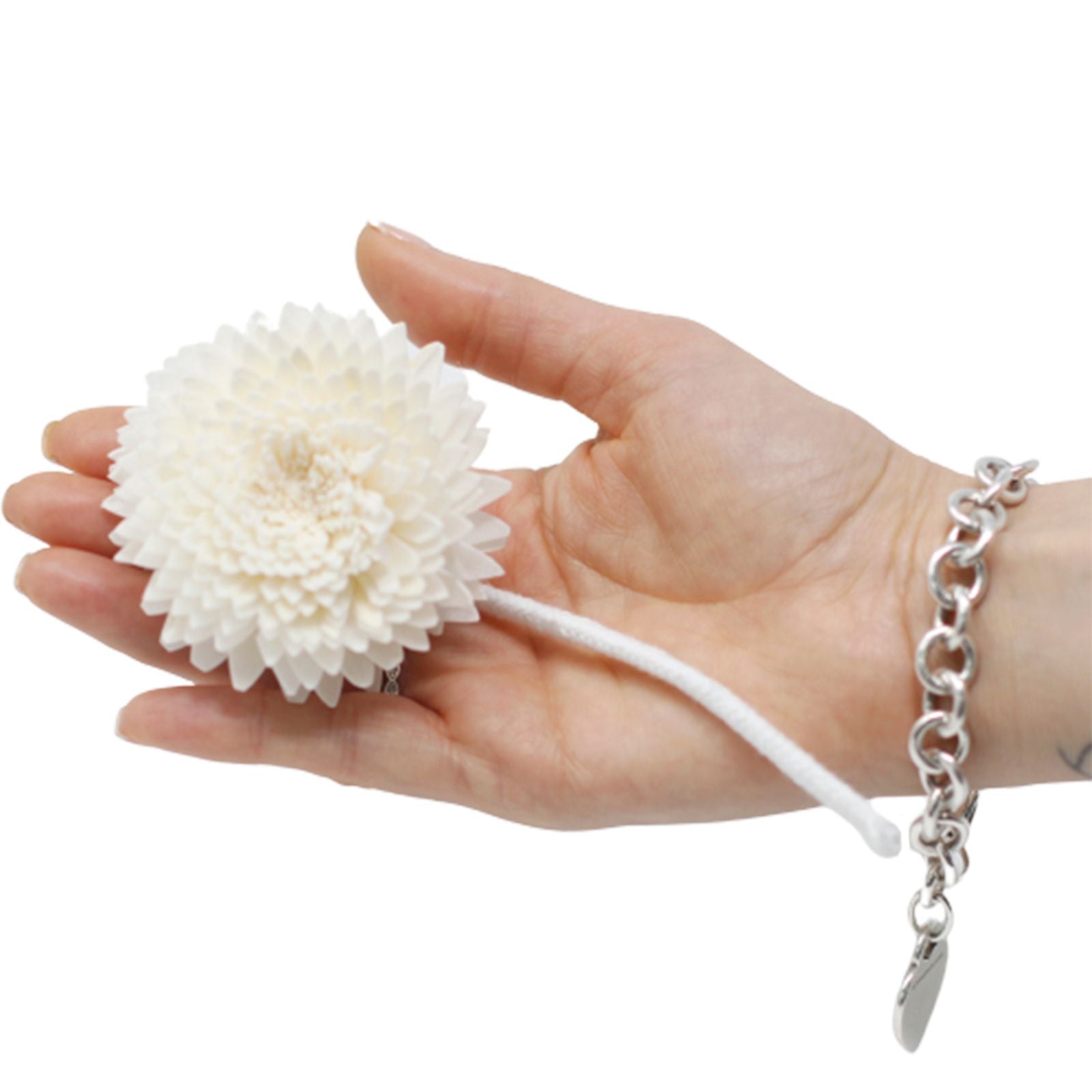 Natural Diffuser Flowers - Lrg Carnation on String product image