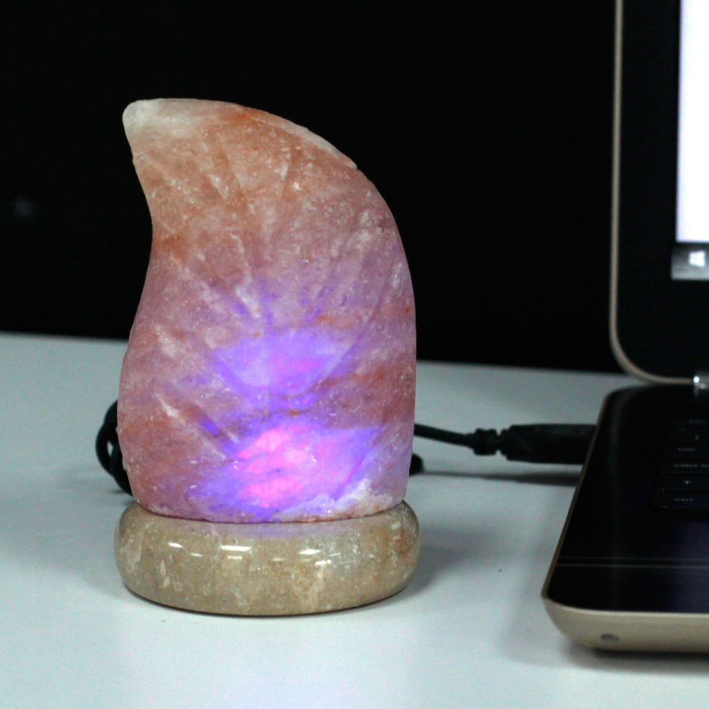 USB leaf Shaped (Multi) product image 3