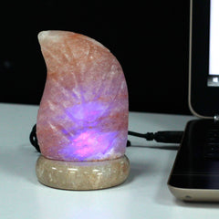 USB leaf Shaped (Multi) product image 3