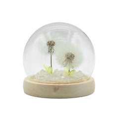 Floral Glow Garden Dome - 2 Dandelions - LED USB product image 2