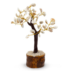 Lrg Gomati Chakra Circle Stone Tree - (60 stones) product image 4