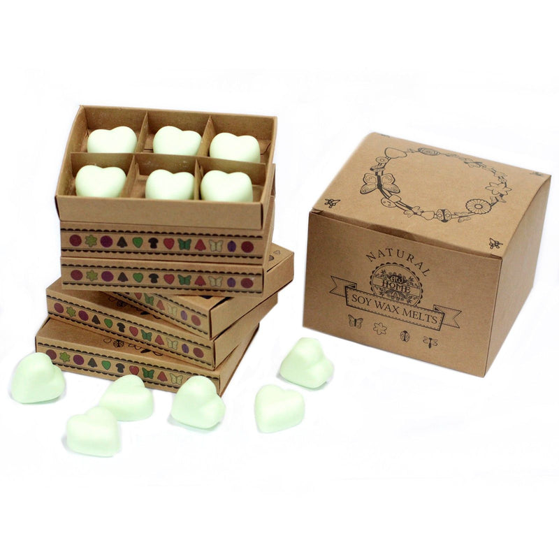 Box of 6 Wax Melts - Mint & Menthol product image