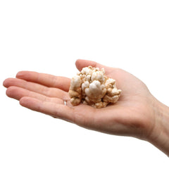Finger Quartz (1kg pack) product image 10