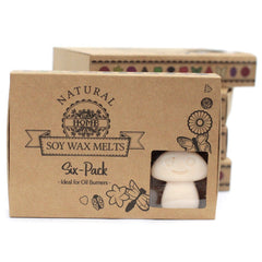Box of 6 Wax Melts - Vanilla Nutmeg product image 2