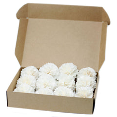 Natural Diffuser Flowers - Med Carnation on String product image 8