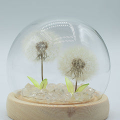 Floral Glow Garden Dome - 2 Dandelions - LED USB product image 3