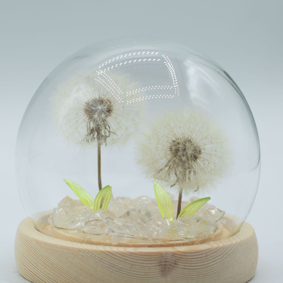 Floral Glow Garden Dome - 2 Dandelions - LED USB product image 3