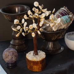 Lrg Gomati Chakra Circle Stone Tree - (60 stones) product image 3