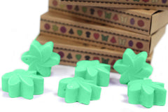 Box of 6 Wax Melts - Hidden Garden product image 5