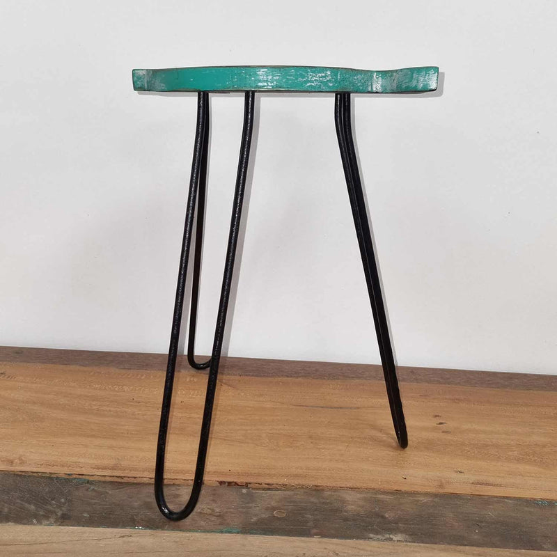 Albasia Wood Fish Stand - Turquoise product image