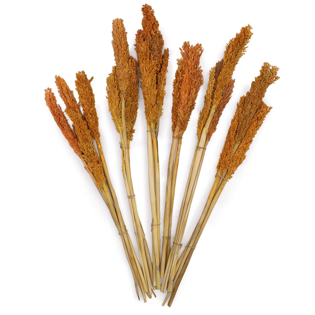 Cantal Grass Bunch - Orange product image 3