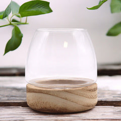 Mini Terrarium on Natural Tung Wood product image 2