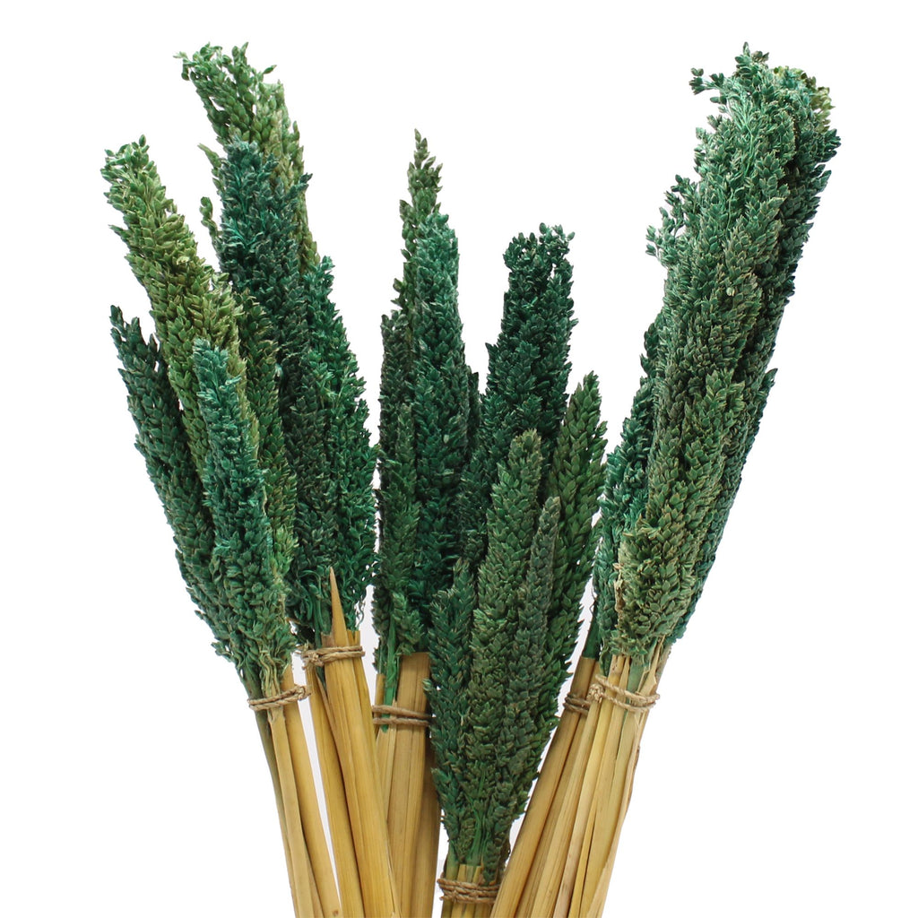 Cantal Grass Bunch - Teal product image 5