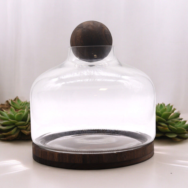 Ex-Large Ball Top Terrarium on Dark Tung Wood product image