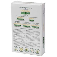Plant Based Aroma Oil - Energising product image 2
