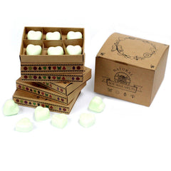 Box of 6 Wax Melts - Apple Spice product image 5