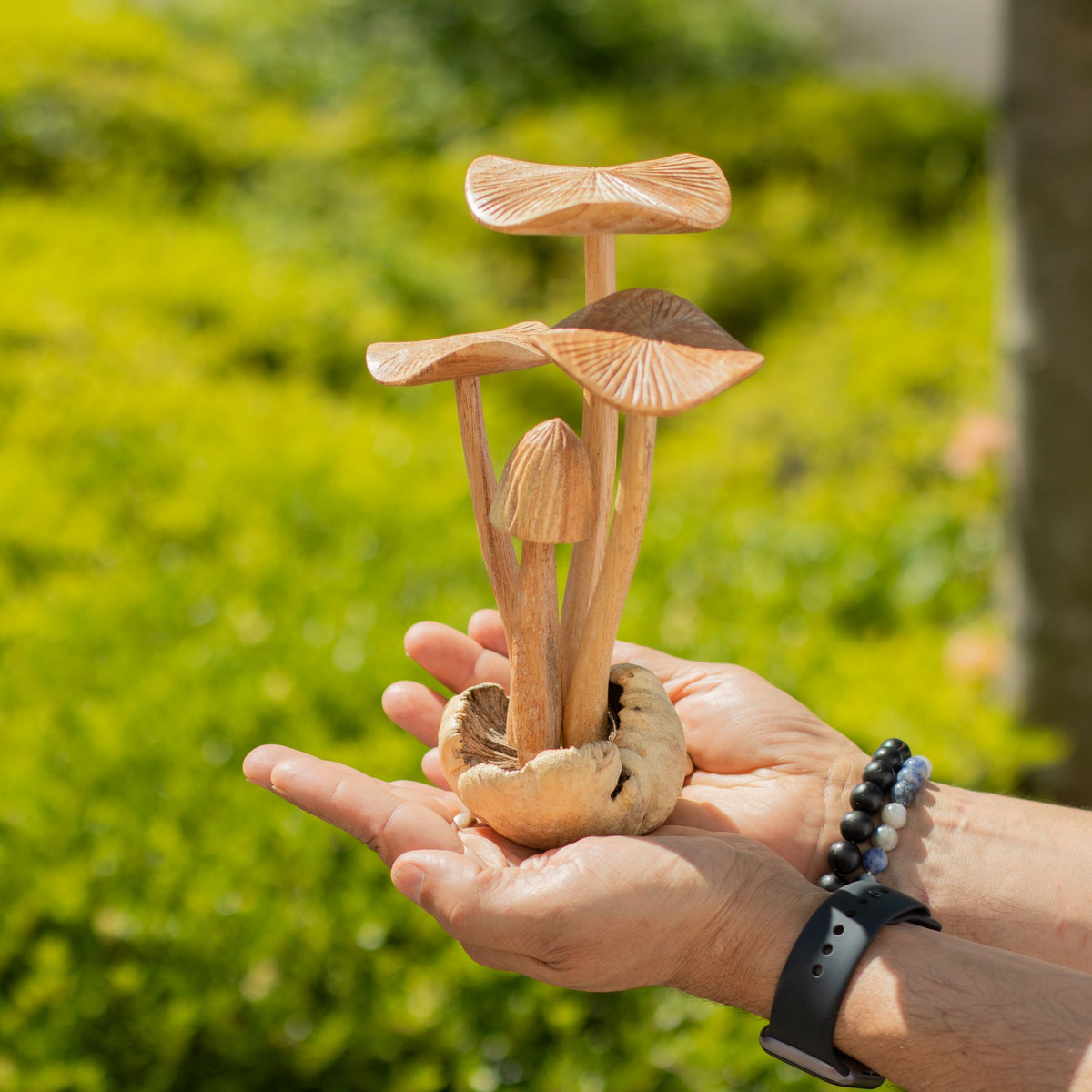 Handmade Parasite Wood Art Carving - Set of 4 Large Mushrooms product image 5