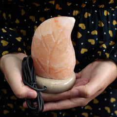 USB leaf Shaped (Multi) product image 2