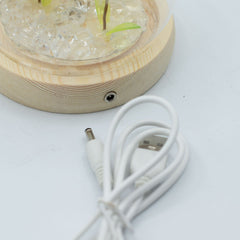 Floral Glow Garden Dome - 2 Dandelions - LED USB product image 4