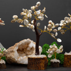 Lrg Gomati Chakra Circle Stone Tree - (60 stones) product image 2
