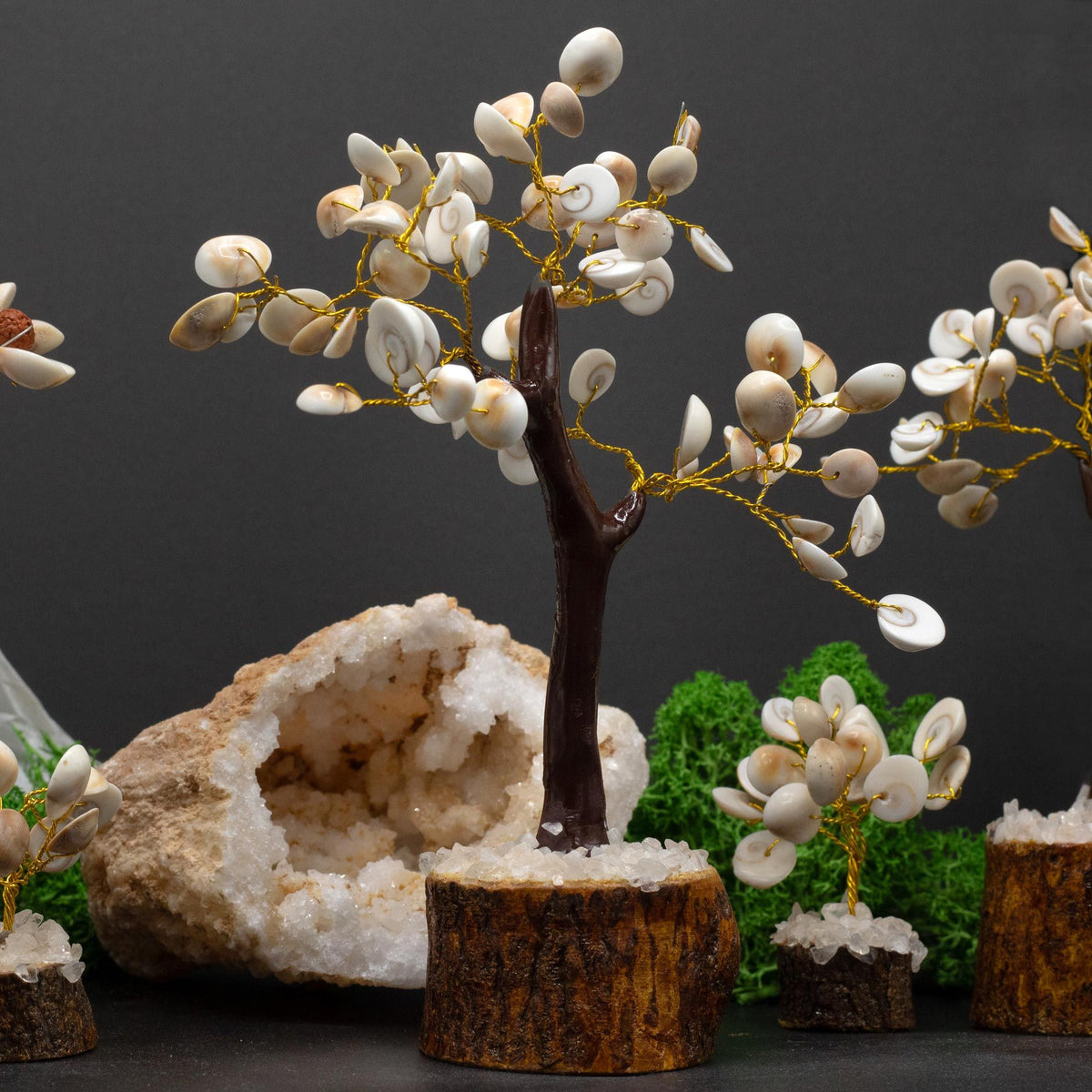 Lrg Gomati Chakra Circle Stone Tree - (60 stones) product image 2