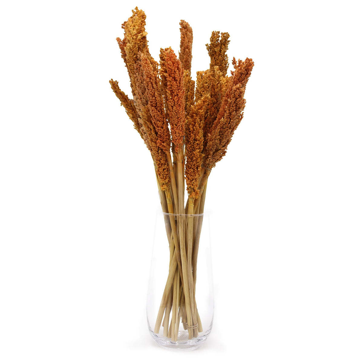 Cantal Grass Bunch - Orange product image 2