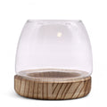 Small Terrarium on Natural Tung Wood product image
