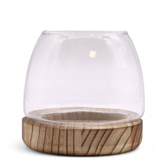 Small Terrarium on Natural Tung Wood product image
