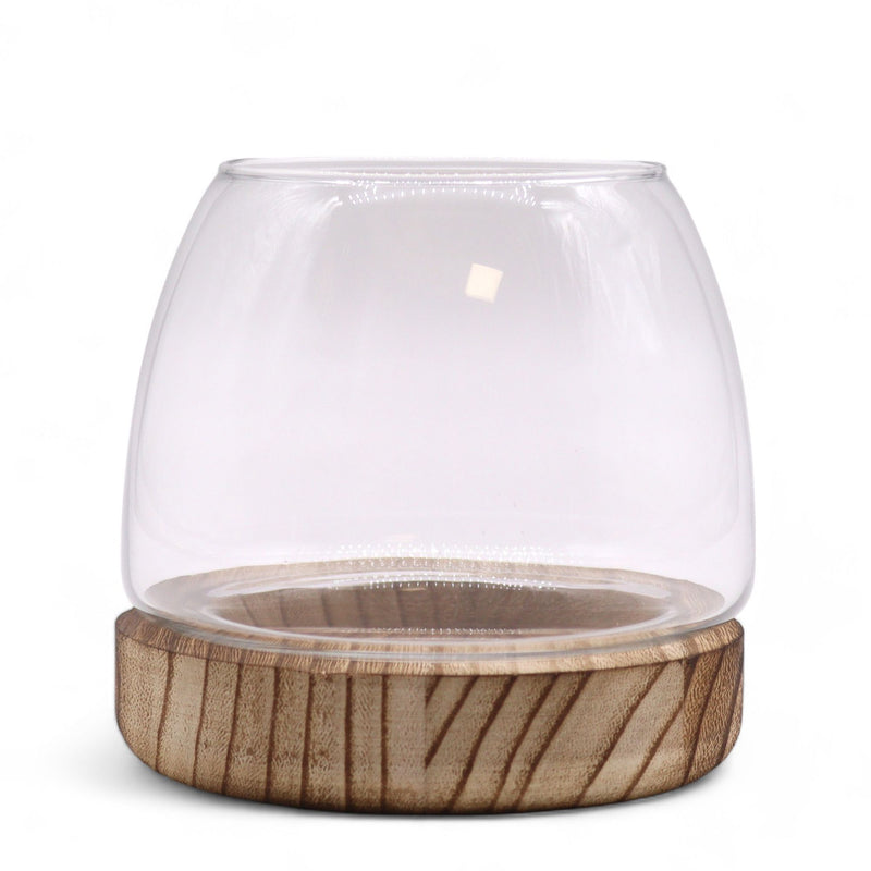 Small Terrarium on Natural Tung Wood product image
