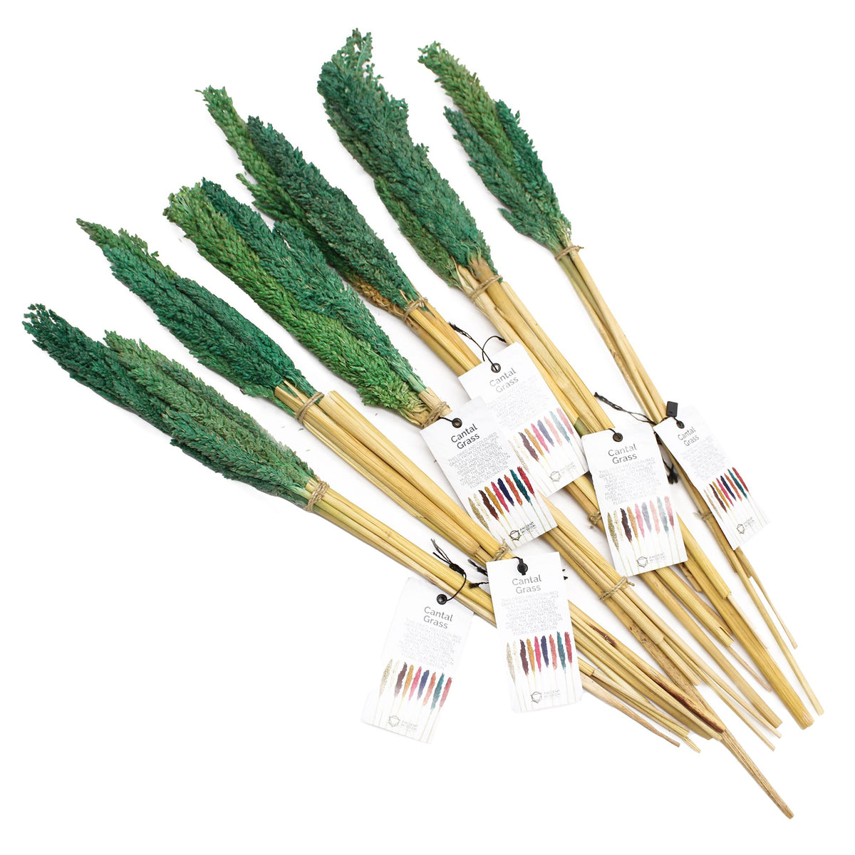 Cantal Grass Bunch - Teal product image 4