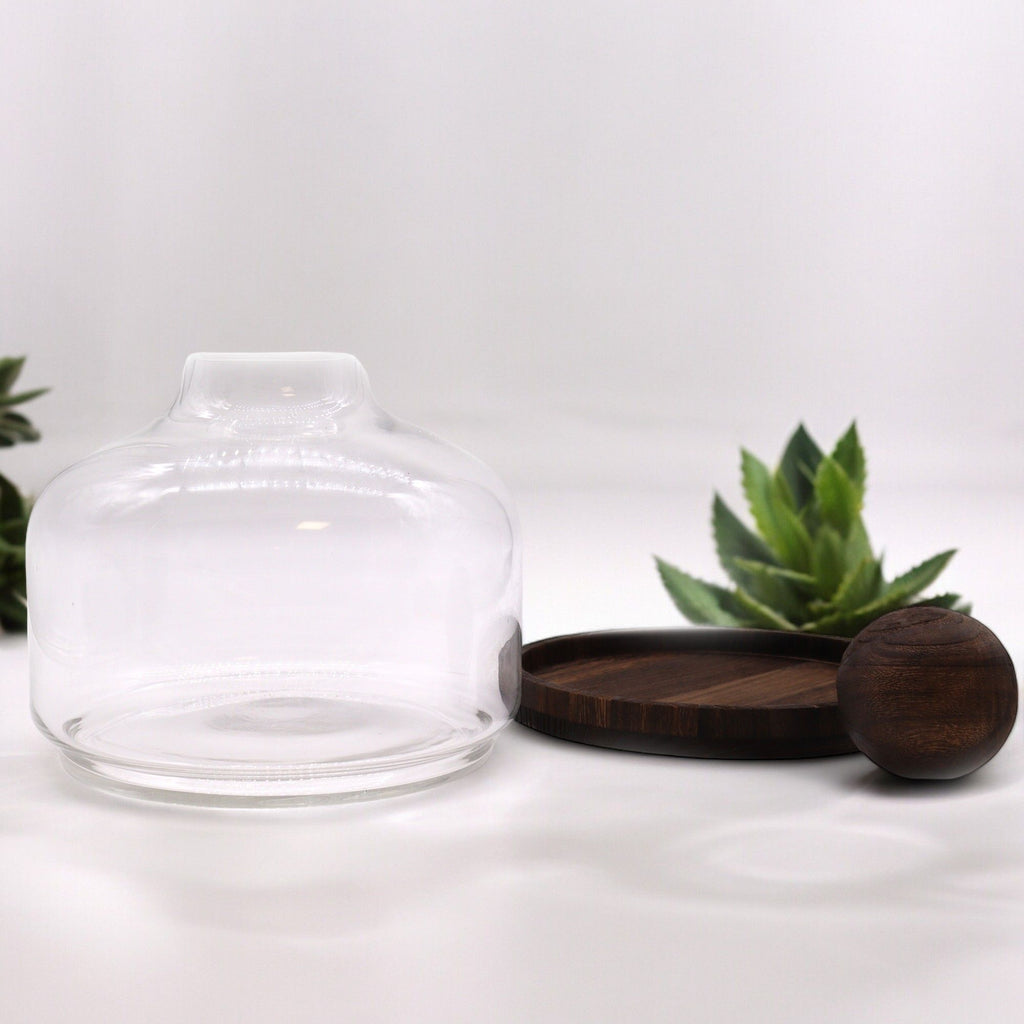Ex-Large Ball Top Terrarium on Dark Tung Wood product image 4