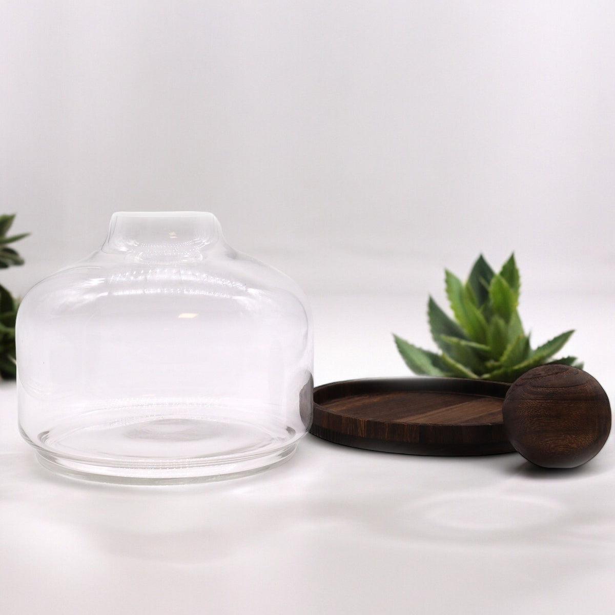 Ex-Large Ball Top Terrarium on Dark Tung Wood product image 4