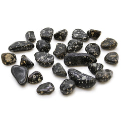 Small African Tumble Stones - Guinea Fowl product image