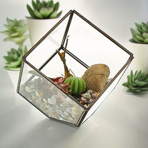 Glass Terrarium - Cube on Corner product image