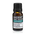 10 ml Cornmint Essential Oils product image