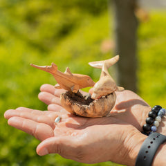 Handmade Parasite Wood Art Carving - Dolphins in Play product image 3