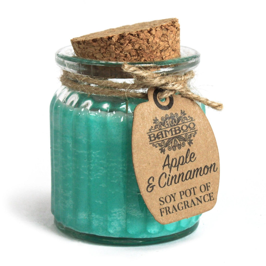 Apple & Cinnamon Soy Pot of Fragrance Candles product image