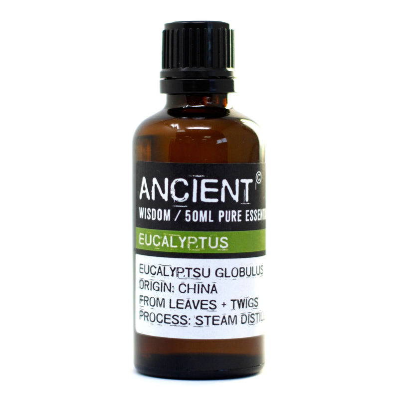 Eucalyptus 50ml Essential Oils product image