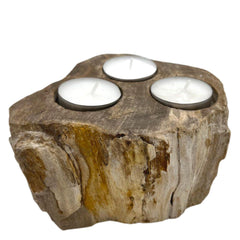 Petrified Wood Candle Holder - Triple product image 3